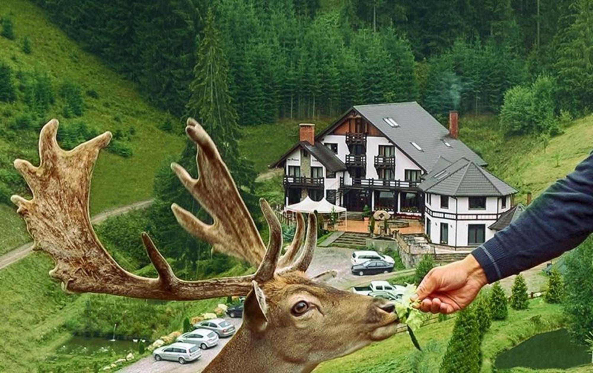 Pensiunea Poiana Izvoarelor Vatra Dornei Luaran gambar